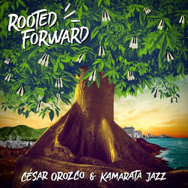 Cover art for Rooted Forward